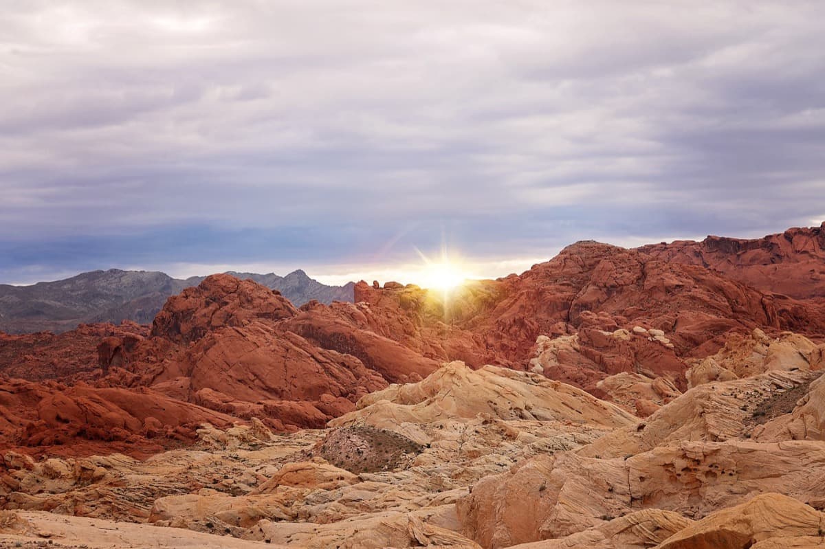 Business Flights to Las Vegas