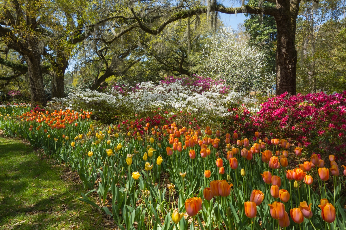 Airlie Gardens in Wilmington, North Carolina